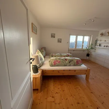 Joy's Apartman Malsburg-Marzell