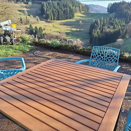 Joy's Malsburg-Marzell